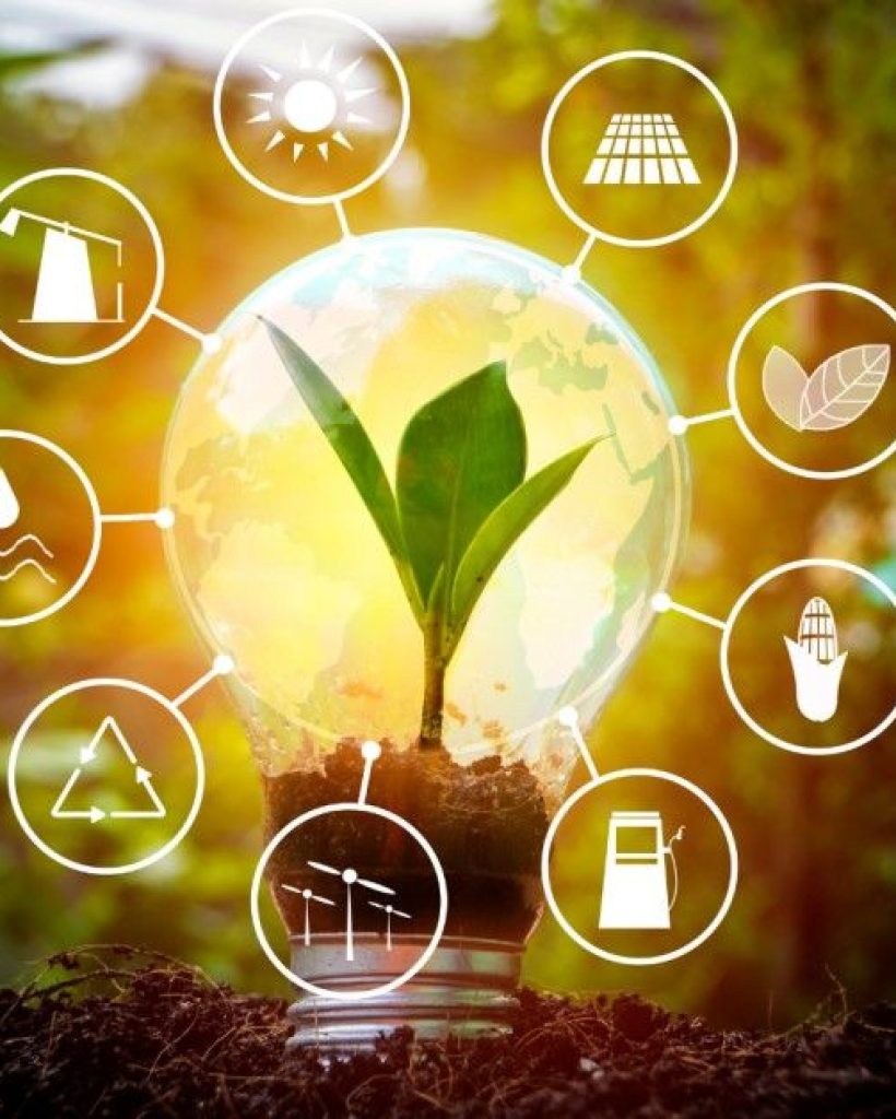 grantssubsiudyanddecarbonisatio